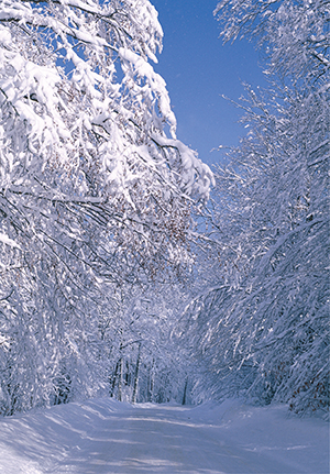 443 after the snow
